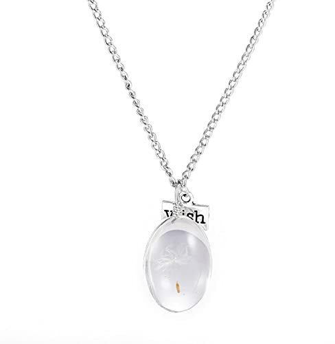 PAIHUIART Halskette Pulloverkette Ketten Schmuck Frauen Anhänger Necklace Wish Glasflasche Echte Löwenzahnsamen Anhänger Halskette Lucky Medaillon Schmuck Für Frauen Freund 4