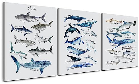 Nogrit Hai-Dekor, Hai-Wandkunst, Badezimmer, Leinwand, 27,9 x 35,6 cm, 3er-Set, Hai-Wandkunst, Dekoration für Zuhause, Klassenzimmer, Bibliothek, Schlafsaal, Walhai-Dekor, Geschenk für