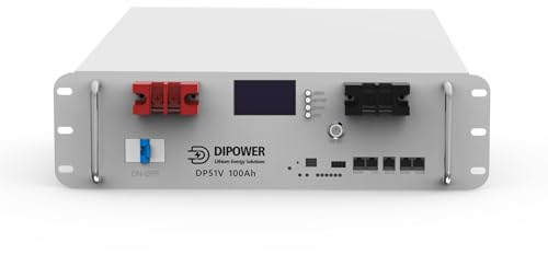 DIPOWER 51.2V 100Ah LiFePO4 Lithium Batterie mit BMS-Schutz, 5.12kWh Lithium Akku mit 6000+ Zyklen, Perfekt für Solaranlage, Backup-Strom, Off-Grid und RV