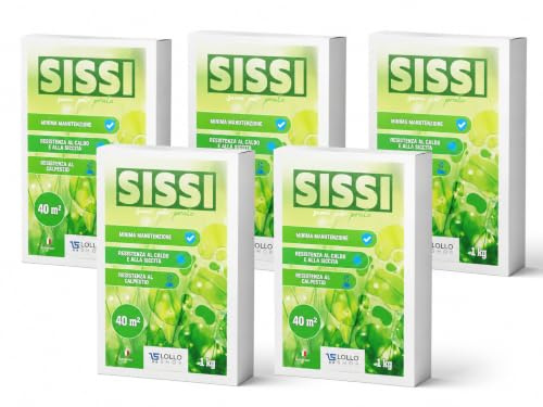 Semi per Prato Universali 10 kg (400 m²) – Prato Fitto e Resistente, Crescita Rapida – Anti Calpestio, Resiste a Caldo e Siccità – Bassa Manutenzione – Semi Sissi