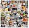 100Pcs Classic Funny Stickers for Adults, Fashion Decals Graffiti Colorful Waterproof Vinyl Stickers for Laptop Skateboard