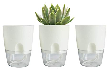 BeGrit Kräutertopf Selbstbewässernd 3er Set Kräutergarten Küche Fensterbank Blumentopf Plastik 10,5 X 7,5 X 13,8cm Weiß mit Selbstbewässerung und Wasserspeicher für Zimmerpflanzen Blumen und Kräuter