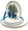 Tesfish 12V LED Streifen Licht, Natürliches Weiß 4000K 5M Strip Lichtband 2835 IP20 240 LEDs/M, Total 1200 LEDs Super Hell band Lichtleiste Leiste für Schlafzimmer, Küche Dekoration