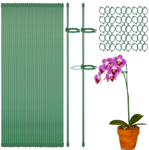 Tarocat Orchideen Stäbe, Pflanzenstütze, Rankhilfe, Stabilisieren, 30 Stück Fiberglasrohr Pflanzenstab, Grün
