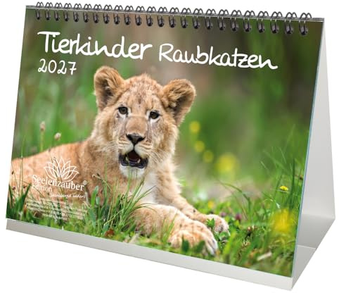 Tierkinder Raubkatzen DIN A5 Tischkalender für 2027 verschiedene Raubkatzen - Seelenzauber