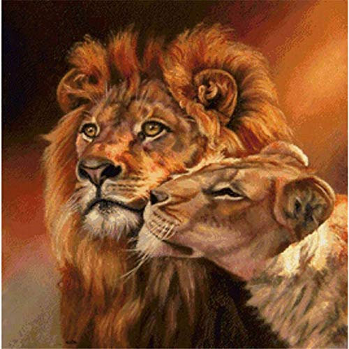 Bimkole DIY 5D Diamond Painting Zubehör Löwenpaar, Sonnenuntergangstiere Diamant Malerei Kit Voll Runde Bohrer Malen nach Zahlen Malerei Stickerei Kreuzstich Diamond Dekoration, (40x40 cm)