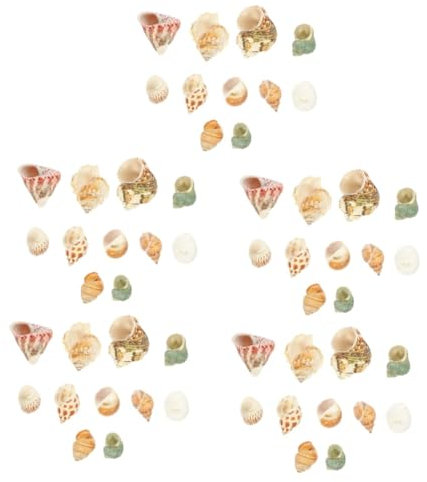 Toddmomy 5 Ensembles D'Aménagement Paysager D'Aquarium Conch Turbo Natural Shell Home Hermit Crab Shell Adornment Hermit Crab Sand Oyster Escargot Dish Automatic Hermit Crab Shells