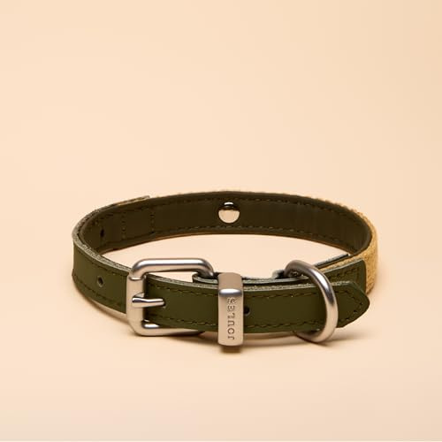 Rosewood x Joules Khaki Dog Collar, Small – Durable Leather and Webbing Detail, Stylish Design with Brushed Metal Buckle, Premium Pet Accessory