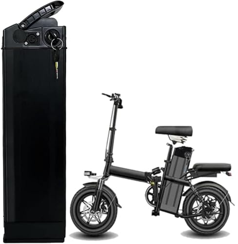 48V 25Ah 30Ah 35Ah Ebike Lithium Battery with BMS for 200W-1000W Motor