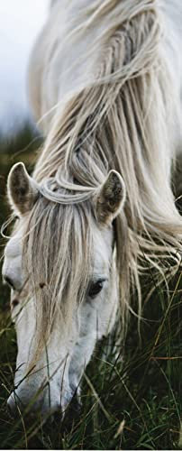 A.Monamour Sticker Porte Autocollant Poster De Porte 3D Cheval Blanc Mange De L'Herbe Dans Un Pré Thème Animalier Vinyle Affiche De Porte Sticker Mural Papier Peint Art Décor 85x215cm