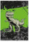 itenga Gummizugmappe mit Motiv DIN A4 - Sammelmappe Eckspanner - für Kinder Jugendliche Schüler Mädchen Jungen (TREX - A4)