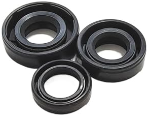 TROIOIUM Wellendichtring TC-8 * 12 * 13 * 14 * 15 * 16 * 18 * 19 * 20 * 22 * 23 * 25 * 26 * 28 * 30 * 34 * 3/4/5/6/7/8/9 Nitrilbeschichtete Doppellippe mit Strumpfbandfeder(Size:8x17x6mm 2pcs)