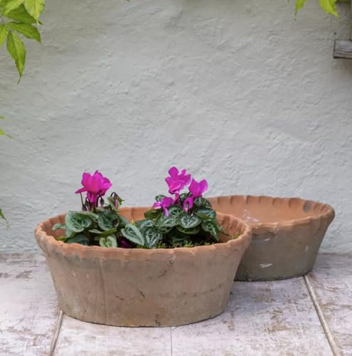 1x Round Terracotta Dish Planter with Frill Edge, Shallow Succulent Plant Pot, Redstone Weathered Terracotta Plant Pot, Aged Stone Rustic Pot, Weathered Seeds Bulb Crocus Pot Planter (Large)