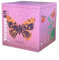 VanessaKit, Il Kit per Allevare in Casa Le Farfalle Vanessa del Cardo- Esperimento educativo, Kit educativi scientifici per Bambini, Idee Regalo Bambino Bambina (KIT CON BRUCHI)