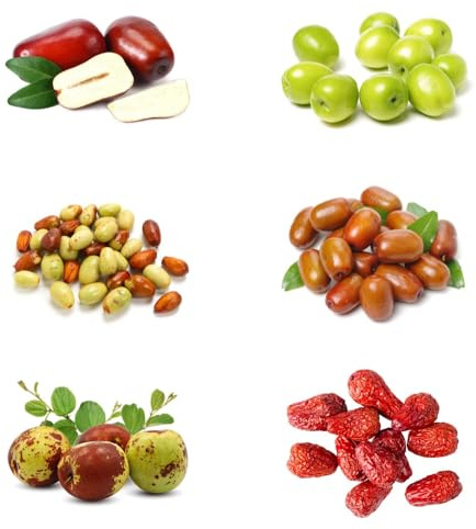Jujube - Dattelbaum obstbäume obstgarten obstsamen für garten baumsamen zwergobstbäume winterhart 80Samen