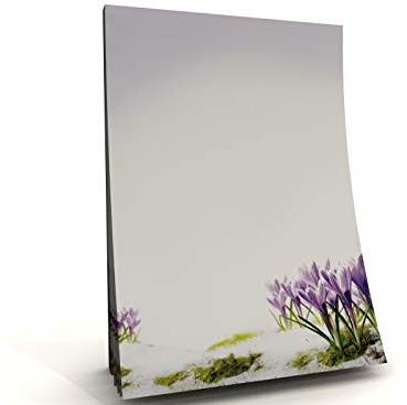 Notizblock A5 | hochwertiger Motivpapier Block | Krokusse | 50 Blatt, 90g/qm | Schreibnotizblock | Notizblock | Schreibblock A5 | Paperandpicture