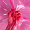 ONEART | Rosa Transparentes Vinyl-Stoff 91×135 cm, Mehrzweck- 0.3 mm Klares Wasserdicht TPU-Gewebe Meterware für Nähen Handwerk Heimdekor