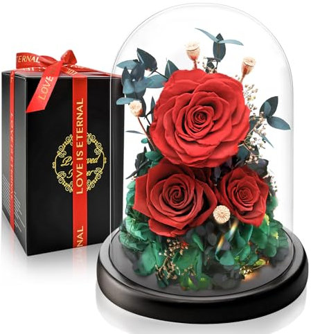 Rosa Eterna Stabilizzata sotto Campana I Regalo di Lusso con Luce LED I Perfetta per Anniversario, Festa della Mamma I Ideale per Moglie, Fidanzata, Mamma e Nonna I Fiore Preservato che Dura Anni