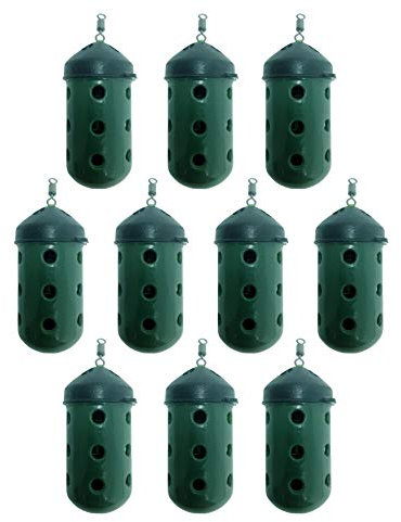 FLADEN Fishing - 10 x FEEDERS - CLOSED END MAGGOT Feeders Fishing Feeders Bulk Packs Available in Medium 20g or Large 30g - Great For Use With a Wide Range of Groundbaits (10 x 30g Feeders)
