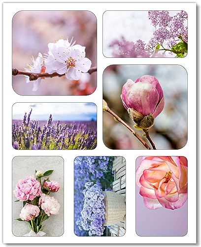 7 Motiv-Magnete mit Blumen-Motiven I Natur-Magneten I Frühling I Sommer I eckig I Deko für die Küche, WG und Jugendliche I als Geschenk-Idee I dv1064