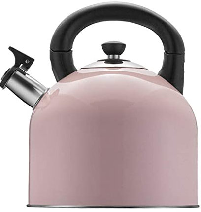 ONWEE 304 Household Water Gas Gas Cooker Thickening 4L Teapot Stainless Steel Hot Water Bottle,Pink vision