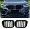 Hengjiayao G01 Nieren Schwarz Kühlergrill für BMW X3 G01 2018-2021 X4 G02 2019-2021 Grill Schwarzer Sport Glanz Doppelsteg Nieren (For G01 G02 2018-2021)