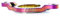 Total BMX Gyro Uplift Plate (Rainbow)