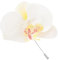SAFIGLE Phalaenopsis-corsage Orchideenbrosche Hochzeitsbroschen Für Den Bräutigam Anstecknadel Anstecknadeln Blumenstrauß Zubehör Blumenbrosche Blatt Brosche Seidenblume Weiß