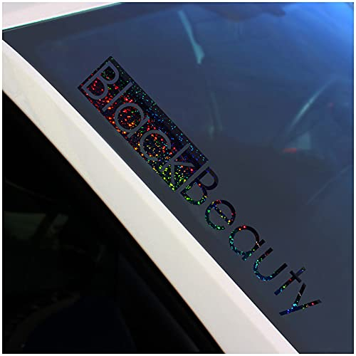Frontscheibenaufkleber Schriftzug Black Beauty Aufkleber für Windschutzscheibe Heckscheibe Auto Fahrzeug Dekor Sticker Frontscheibe FS118 (Flakes Schwarz, Außenklebend)