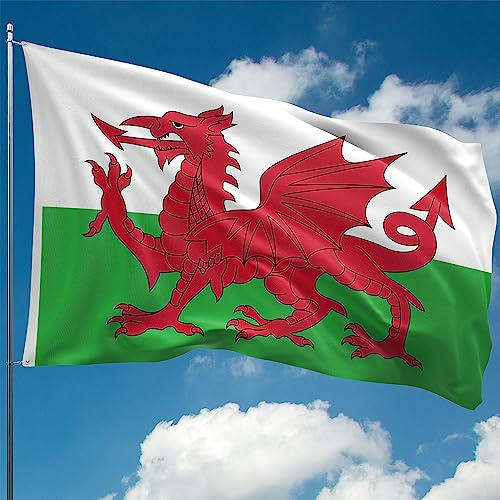 Union Jack Flag – British Flag - UK Flag - Double-sided Print - Double Seam - 2 brass eyelets, large 5ft x 3ft (Wales)
