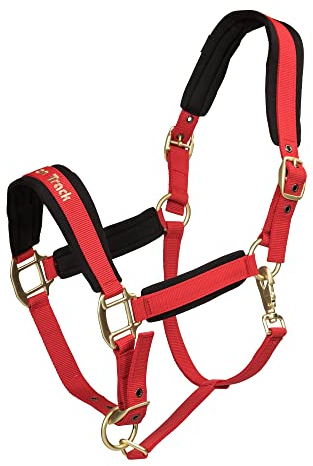 Back on Track Halfter für Pferde Werano