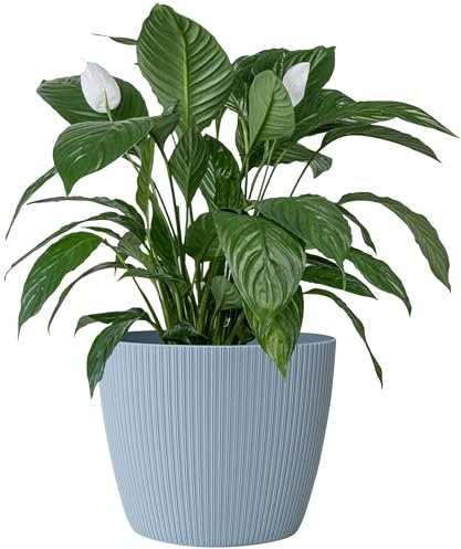 KONZEPT Blumentopf groß, grünlich, gerillte Struktur 30cm, Übertöpfe für Zimmerpflanzen aus Kunststoff ideal für Wohnzimmer, Küche und Balkon