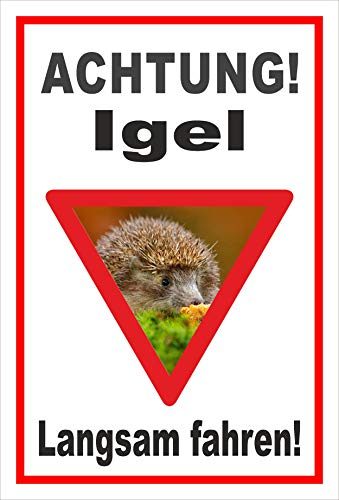 Melis-Folienwerkstatt Schild Igel - langsam Fahren - 30x20cm - 3mm Hartschaum – 20 VAR S00359-157-B