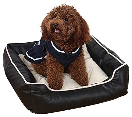 Kunstleder Haustiersofa Plüsch wasserdichtes Haustierbett Outdoor Hundebett Katzenbett flauschiges Haustierkissen sofa orthopädisches Hundebett Hundekissen Käfigunterlage Schwarz S：45*45*15CM