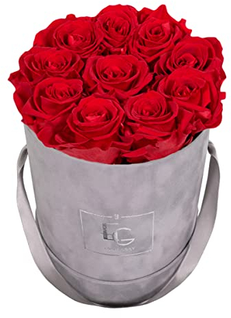 EMMIE GRAY CLASSIC INFINITY ROSENBOX | VELVET GRAY | Runde Flowerbox - Infinity Rosen in grauer Samtbox - 1-3 Jahre Haltbarkeit - Echte Rosen, die jahrelang blühen - Haltbare Rosen - (S, Vibrant Red)