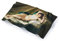 Musearta Unisex Strandhandtuch mit dem Motiv La Maja Desnuda des Künstlers Francisco de Goya aus Baumwolle in der Größe 90x150 cm, BT-FG-MD-V424230