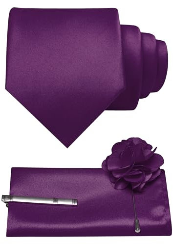 JEMYGINS 3.15 Dark Purple Tie and Pocket Square with Tie Clip Lapel Pin Set Mens Necktie for Business and Wedding(8)