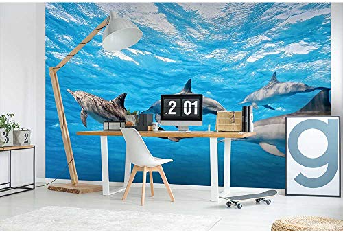 Vlies Fototapete DELFINE 375 x 250 cm | Vliestapete - Wandtapete inklusive Kleister | PREMIUM VLIES QUALITÄT