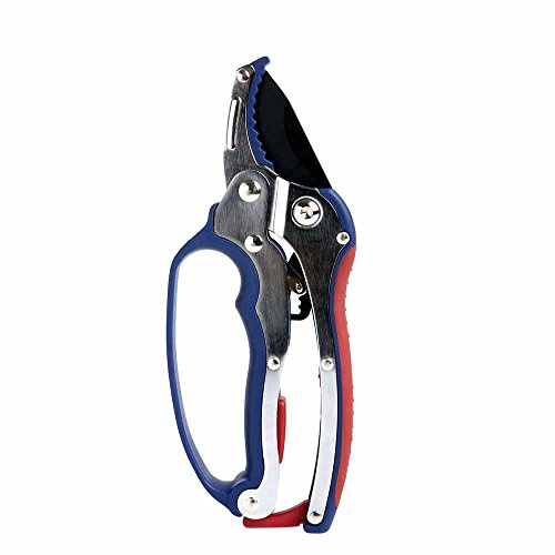 Spear & Jackson Ratchet Anvil Secateurs