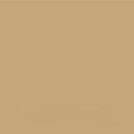 UPOL RAPTOR Pick Up Transportflächen Fahrzeug Beschichtung 948ml + 100ml Acryl Lack zum einfärben (RAL 1001 Beige)