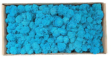 500 g Kunstpflanzen, Ewiges Leben, Moos, Garten, Heimdekoration, Wand, DIY-Blumenmaterial, Mini-Garten, Mikro-Landschaft, künstliches Moos (hellblau)