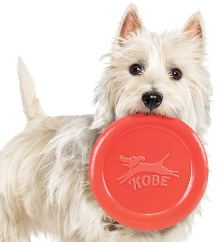 Collections Etc Kikkerland Kobe Frisbees für Hunde