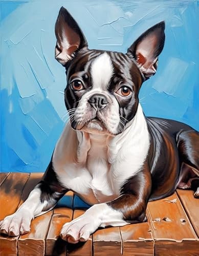 ZMHZMY Peinture par Numero Chien Terrier de Boston avec pinceaux et pigments acryliques Peinture sur Toile pour Adultes et débutants
