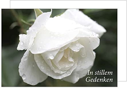 Edition Seidel Premium Trauerkarte mit Umschlag. Beileidskarte Trauer Karte in stillem Gedenken Rose herzliches Beileid Abschied Anteilnahme Teilnahme Mitgefühl (T945 SW022)