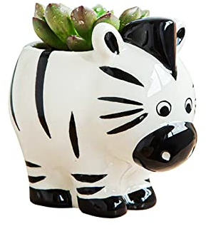 DIYOMR Niedlicher Tier-Keramik-Übertopf, kleiner Sukkulenten-Topf, Cartoon-förmiger Blumentopf für Mini-Pflanzen, Blumenkaktus, glänzende Keramik, Pflanzen nicht im Lieferumfang enthalten (Zebra)