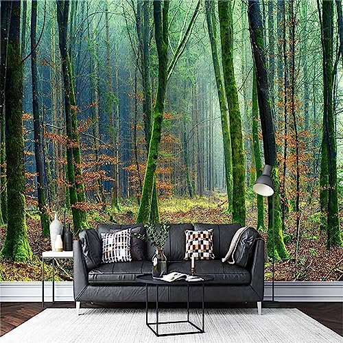 Mural De Papel Tapiz Personalizado, La Luz Del Sol Penetra En Los Árboles Bosque Antiguo Hermoso Paisaje De Montaña Dormitorio Sala De Estar Sofá Tv Fondo Decoración De La Pared 350Cm(W)×245Cm(H)