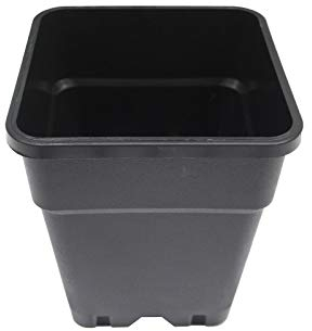 Topf viereckig 24 x 24 x 28,3cm (11L)