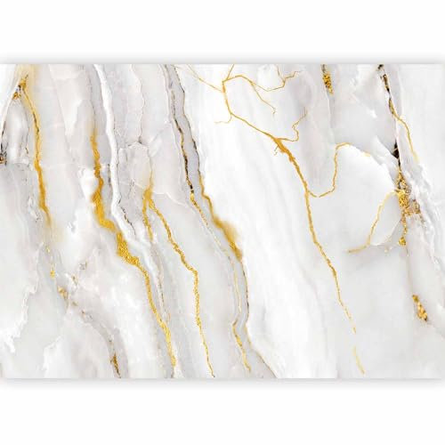 murando - Papier peint panoramique artistique 400x280 cm - Revêtement mural décoration pour chambre salon - Design unique et moderne - Marron jaune gris - Pierre fond texture marbre f-C-0459-a-a