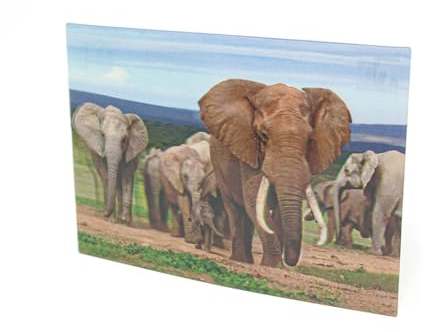 3 D Ansichtskarte Elefanten, Postkarte Wackelkarte Hologrammkarte Tier Elefant
