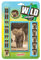 Wild Stationery Set - Elefant von Deluxebase. Diese niedlichen Stationären Schulsets für Mädchen enthalten 2 Bleistifte, Radiergummi, Spitzer, Lineal und Notizbuch